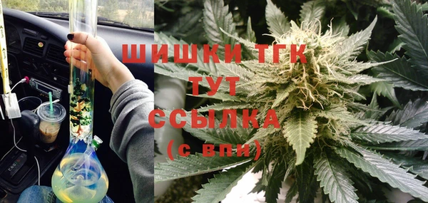 ПСИЛОЦИБИНОВЫЕ ГРИБЫ Балахна