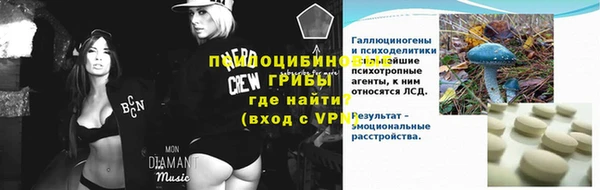 ПСИЛОЦИБИНОВЫЕ ГРИБЫ Балахна