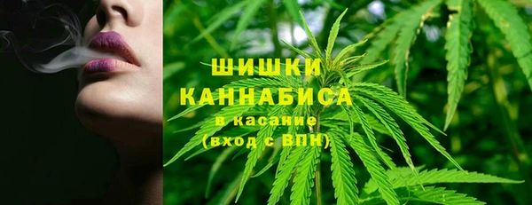 ПСИЛОЦИБИНОВЫЕ ГРИБЫ Балахна