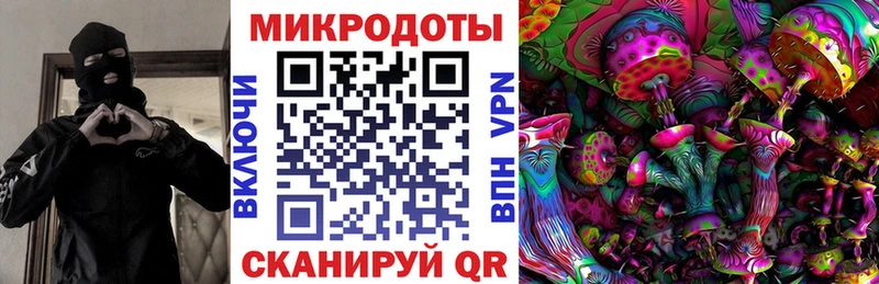 Галлюциногенные грибы Psilocybe  Верхнеуральск 